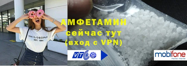 стаф Абаза