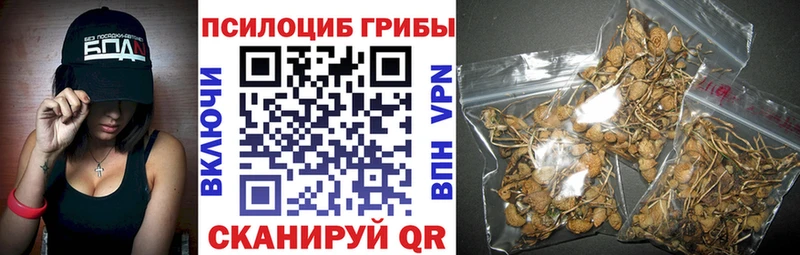 Галлюциногенные грибы MAGIC MUSHROOMS  Южноуральск 