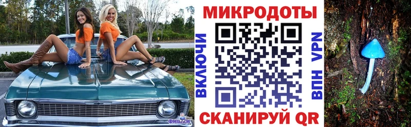 Галлюциногенные грибы Psilocybine cubensis Южноуральск